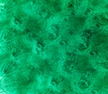 Green water background wallpaper full frame texture pattern swimmingpool abstract close-up