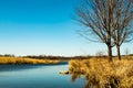 Blue water creek in a sunny day early spring