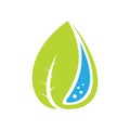water drop leaf logo design Royalty Free Stock Photo