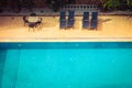 Blue water in a hotels swimming pool. Toned Royalty Free Stock Photo