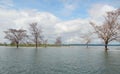 Full lake, blue water, with dead trees presenting exotic landscape