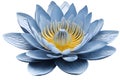 Blue water lily flower in kirigami style Royalty Free Stock Photo