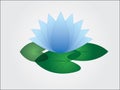 An isolated cool and simple blue lotus flower with leaf in white background
