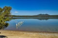 Mountains and poles reflect in the calm water of a peaceful blue lagoon, Western Australia Royalty Free Stock Photo