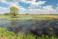 Blue water after rain on meadow and tree, white clouds on blue sky Royalty Free Stock Photo