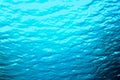 Blue water ripples underwater, texture and backgrounds Royalty Free Stock Photo