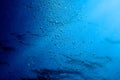 Blue water ripples underwater, texture and backgrounds Royalty Free Stock Photo