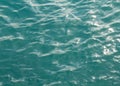 Blue water of the sea Royalty Free Stock Photo