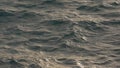 blue water sea surface with soft summer light closeup