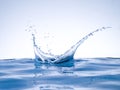 Blue water splash crown on water surface Royalty Free Stock Photo