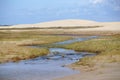 Blue water stream between wet soil and vegetation. White sand dunes in Royalty Free Stock Photo