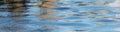 Blue water surface with small ripples or waves and dark reflections as a panoramic banner background with copy space Royalty Free Stock Photo