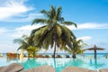 Blue water in the swimming pool and fluffy palm trees. Luxury resort on tropical iseland. Royalty Free Stock Photo