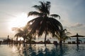 Blue water in the swimming pool and fluffy palm trees, sunset on tropical iseland. Royalty Free Stock Photo