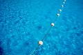 Blue water in the swimming pool, safety buoys Royalty Free Stock Photo