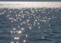 Blue Water Waves Texture, lake horizon