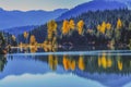 Trees Gold Lake Autumn Snoqualme Pass Washington Royalty Free Stock Photo