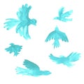 Blue watercolor birds drawings