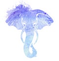 Blue watercolor silhouette of elephant head with trunk, tusks and splash. Wild mammal. Vector drawing Royalty Free Stock Photo