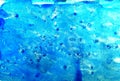 Blue watercolor texture background salt effect