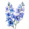 Blue watercolour delphinium larkspur summer flower painting on white background
