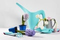 blue watering can with bouquet of flowers of white and pink tulips on the white background. Garden accessories Royalty Free Stock Photo