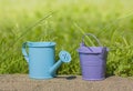 Blue watering can, bucket purple Royalty Free Stock Photo