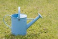 Blue watering can Royalty Free Stock Photo