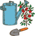 Blue Watering Can, Trowel and Tomato Royalty Free Stock Photo