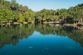 Blue waters of gemini springs in DeBary, Florida