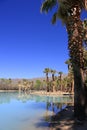 Agua Caliente Park, Tucson AZ