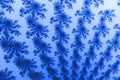 Blue Wave Fractal Swirl in form of snowflake Royalty Free Stock Photo