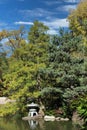 A Blue Weeping Juniper Pine tree and Japanese stone lantern edging a lake in the fall in Rockford, Illinois