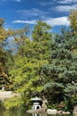 A Blue Weeping Juniper, Pine tree and Japanese stone lantern edging a lake in the fall