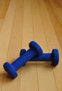 Blue Weights on Hardwood Floor of Fitness Center Royalty Free Stock Photo