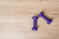 Blue Weights on Hardwood Floor of living room. Workout online concept