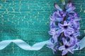 Blue wet hyacinth flower with silk ribbon Royalty Free Stock Photo