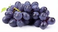 Blue wet Isabella grapes bunch isolated on white background. Ripe grapes. generative ai Royalty Free Stock Photo