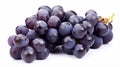 Blue wet Isabella grapes bunch isolated on white background. Ripe grapes. generative ai Royalty Free Stock Photo