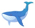Blue Whale Cartoon Animal Illustration Royalty Free Stock Photo