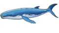 Blue Whale cartoon natural colors, black outline, AI generated