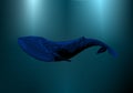 Blue whale in deep sea. Sea fish mosaic drawing. Polygon ocean mammal. Dark bottom marine creature. Vector illustration.