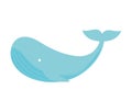 blue whale design