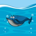 Blue whale with dizzy face in the sea