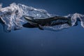 Blue whale Environmental problem of plastic rubbish pollution in ocean Royalty Free Stock Photo