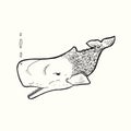 Blue Whale, hand drawn doodle gravure vintage style, sketch Royalty Free Stock Photo
