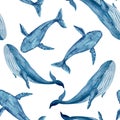 Blue whale humpback seamless pattern hand-drawn in watercolor isolated on white. High quality monochromatic art for Royalty Free Stock Photo