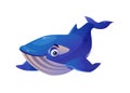 Blue whale isolated cachalot cartoon animal mascot Royalty Free Stock Photo
