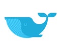 Blue Whale isolated. large mammal under water. Vector illustration