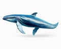 blue whale isolated on a white background. Royalty Free Stock Photo